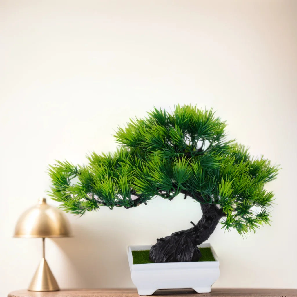 NatureNest Decorative Bonsai