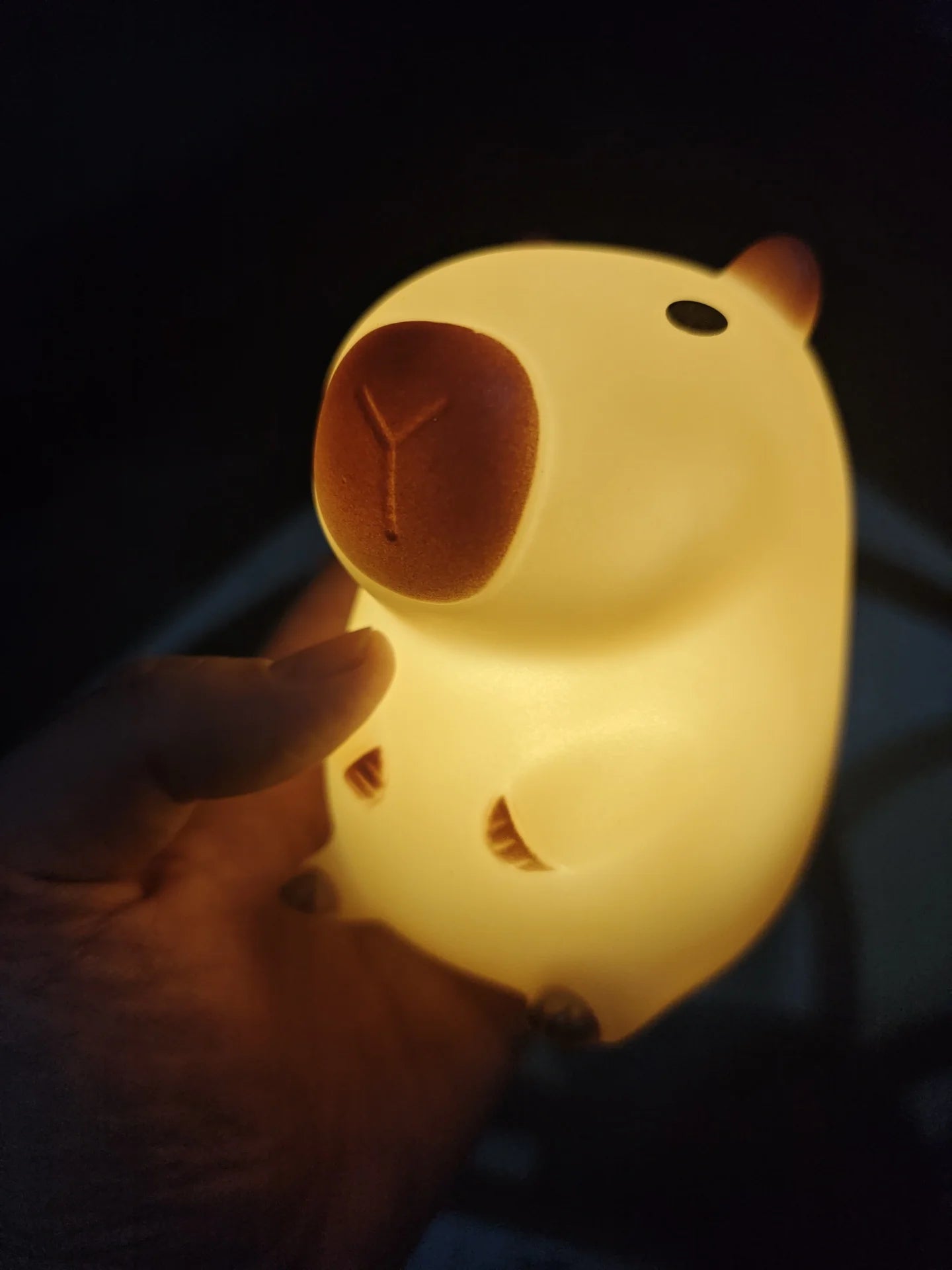 SleepyCap Capybara Lamp